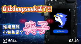 我让deepseek活了！！小鲸鱼是个夹子！？